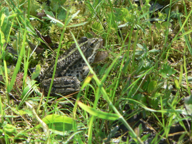 P1200673