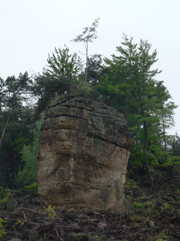 P1200772