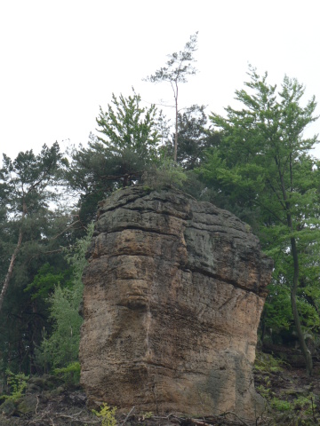 P1200773